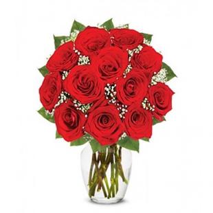 One Dozen Long Stemmed Red Roses